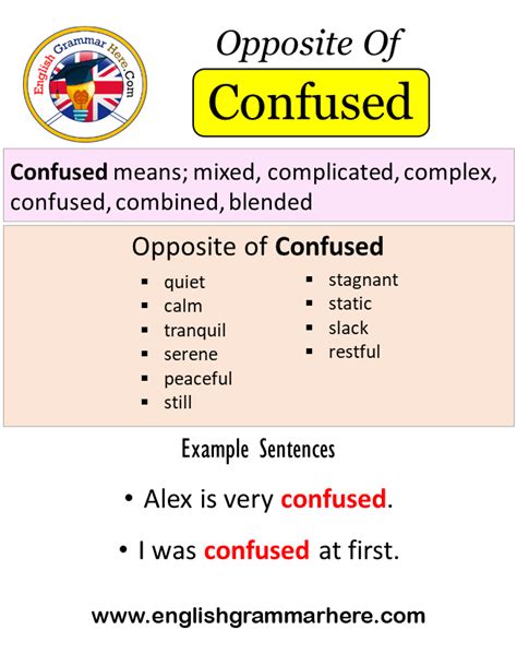 opposite of opinionated|antonym of confusing.